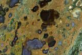 Polished Rainforest Jasper (Rhyolite) Section - Australia #95904-1